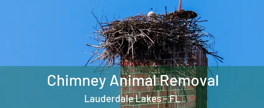 Chimney Animal Removal Lauderdale Lakes - FL