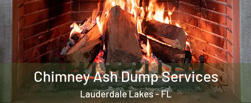 Chimney Ash Dump Services Lauderdale Lakes - FL