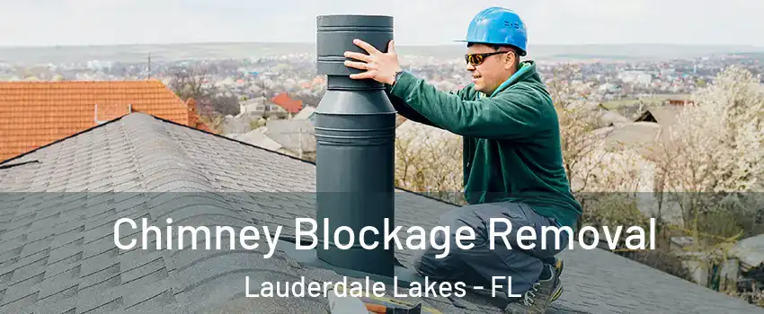  Chimney Blockage Removal Lauderdale Lakes - FL