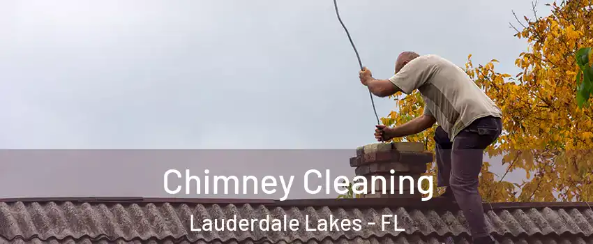 Chimney Cleaning Lauderdale Lakes - FL