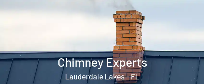 Chimney Experts Lauderdale Lakes - FL