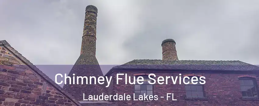  Chimney Flue Services Lauderdale Lakes - FL