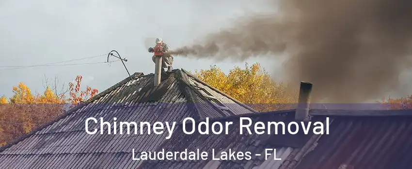 Chimney Odor Removal Lauderdale Lakes - FL