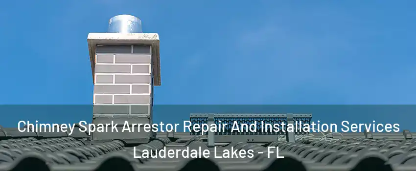  Chimney Spark Arrestor Repair And Installation Services Lauderdale Lakes - FL