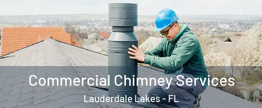  Commercial Chimney Services Lauderdale Lakes - FL