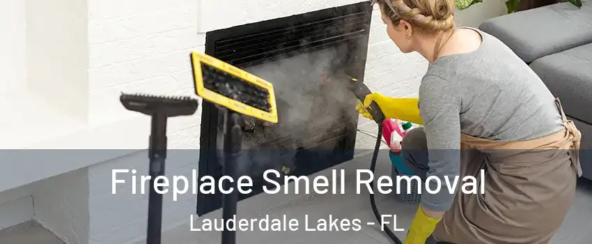  Fireplace Smell Removal Lauderdale Lakes - FL