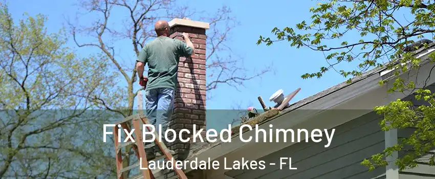  Fix Blocked Chimney Lauderdale Lakes - FL