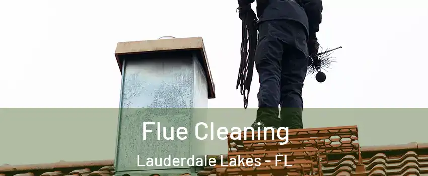  Flue Cleaning Lauderdale Lakes - FL