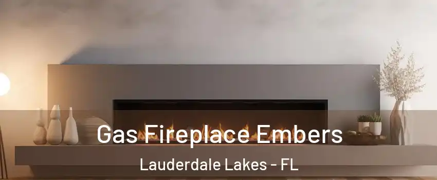  Gas Fireplace Embers Lauderdale Lakes - FL