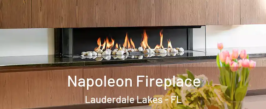  Napoleon Fireplace Lauderdale Lakes - FL